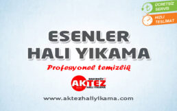 Esenler Halı Yıkama